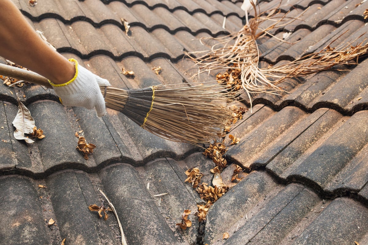 Professional gutter cleaning and debris removal